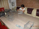 colivii 2012 009