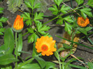 DSCN2741