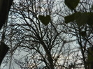 DSCN2746