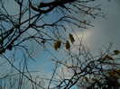DSCN2772