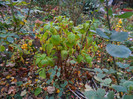 DSCN2773