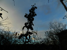DSCN2775