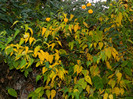 DSCN2777