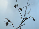 DSCN2784