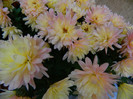 DSCN2785