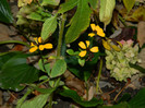 DSCN2803