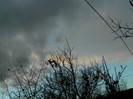 DSCN2815