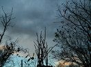 DSCN2819