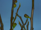 DSCN2826