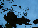 DSCN2832