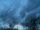 DSCN2835