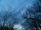 DSCN2837