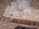 Picture 014