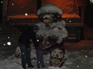 SAM_0029