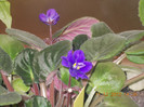 DSCN5730_1212