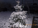 DSCN5700_1185