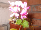 DSCN5714_1199