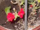 DSCN5716_1200