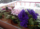 DSCN5718_1202