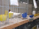 Picture 5482