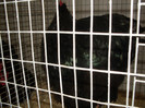 SDC11788
