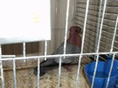 Picture 5628