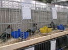 Picture 5629