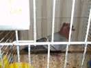 Picture 5631