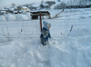 DSCN3342