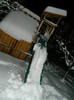 DSCN3397