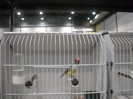 europene leipzig 2012 122