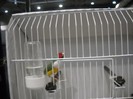 europene leipzig 2012 128