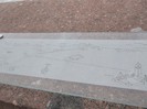 Picture 5848