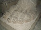 Picture 5856