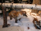 Picture 5882