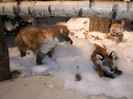 Picture 5883