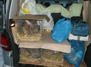 Picture 5926