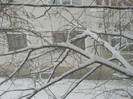 IMG_3697