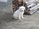 2012-12-07 femela 2