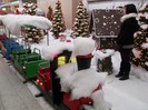 UN "NAS"IN ASTEPTARE DE MUSTERII
