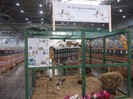 laipzig 2012 436
