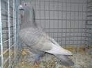 36265a