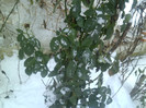 P1010865