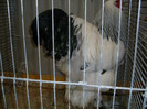 SDC11775