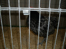 SDC11854