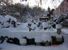 DSC03273