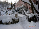 DSC03274