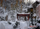 DSC03278
