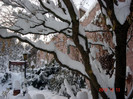 DSC03277