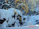 DSC03287